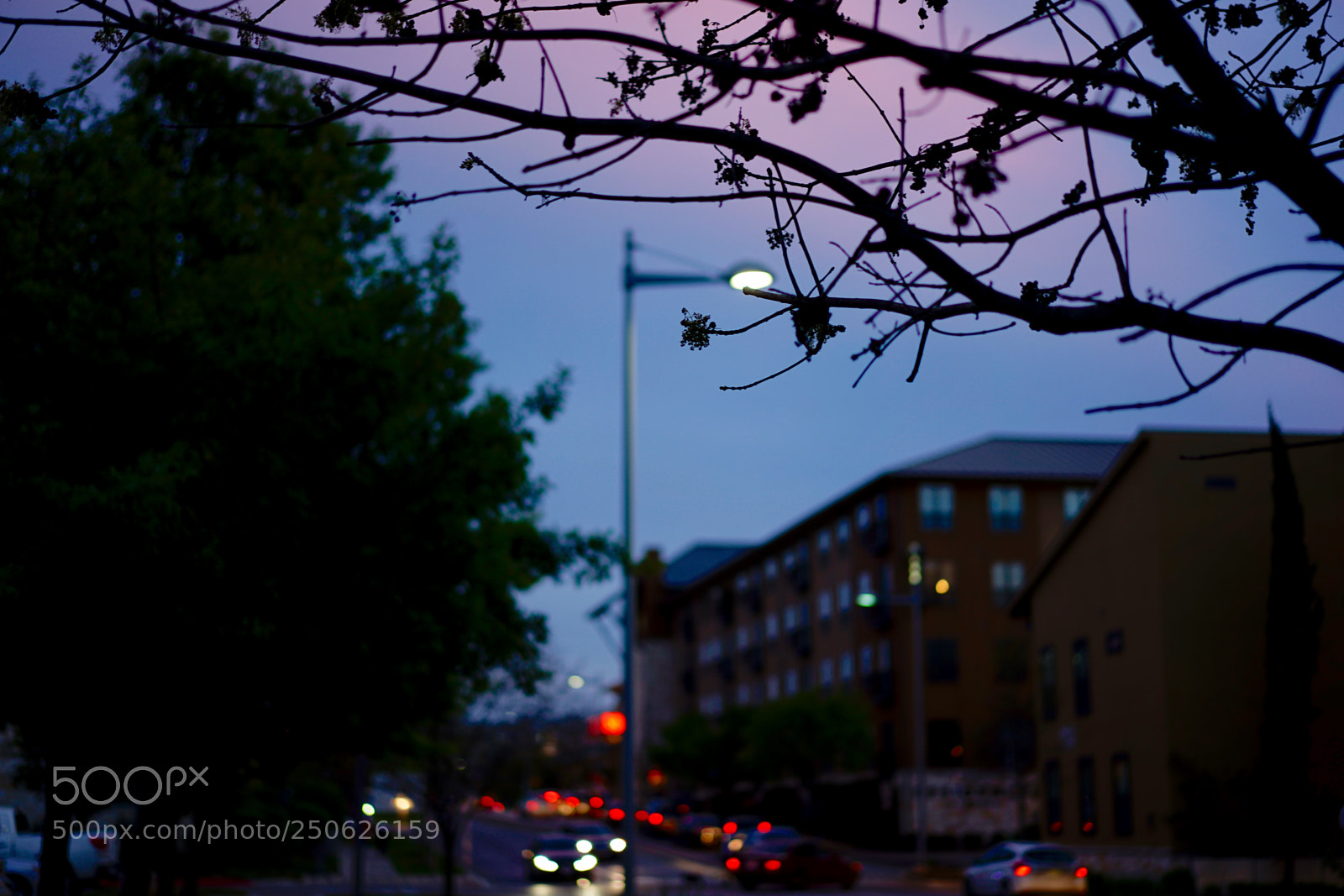 Sony a7 II sample photo. Out focused photography