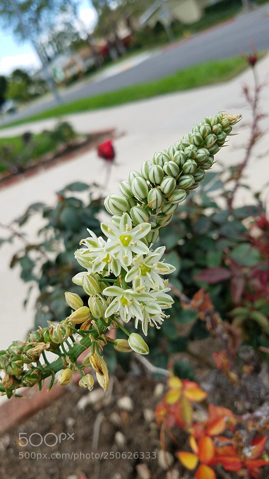 Samsung Galaxy S7 Edge sample photo. Untitled photography