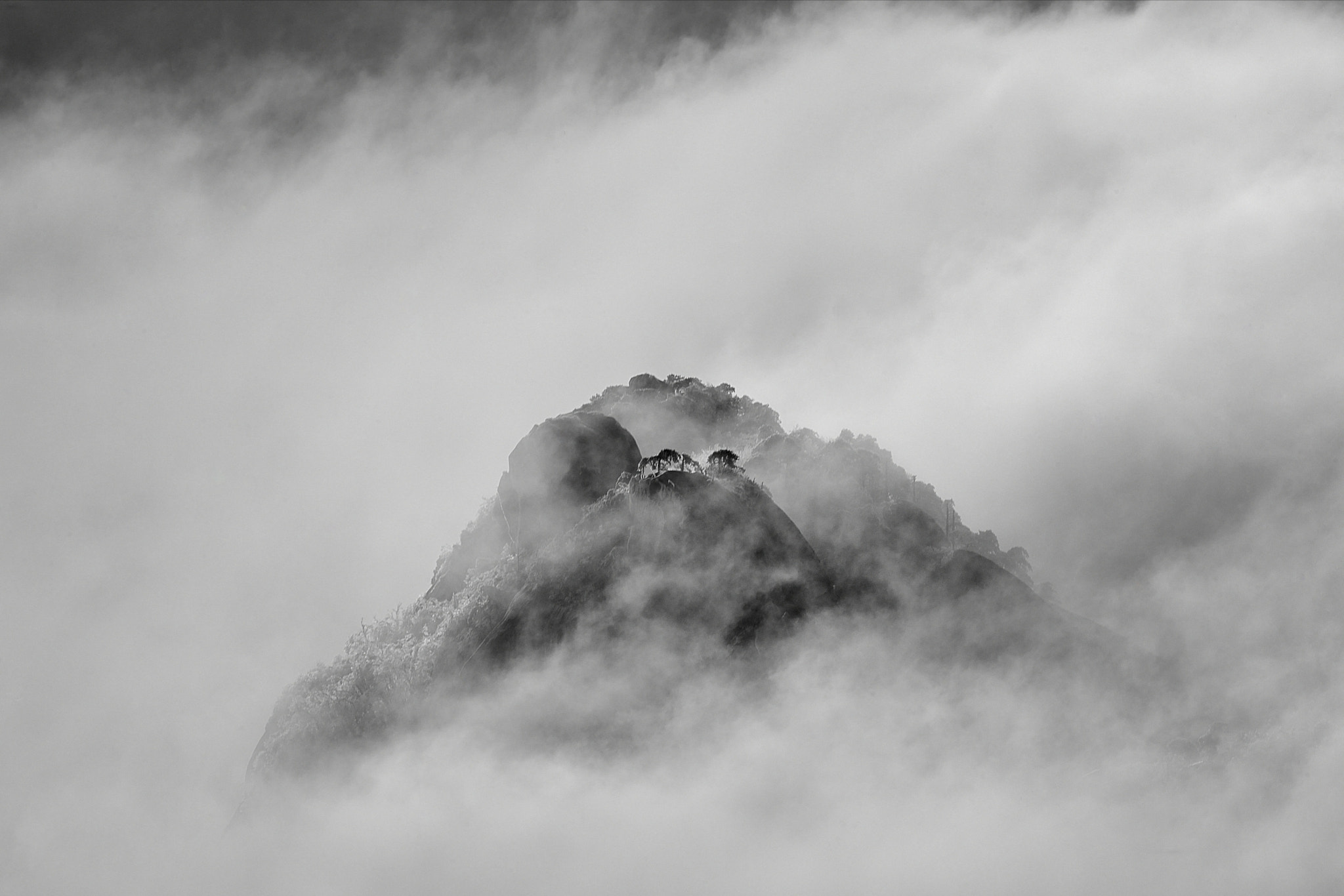 Sigma 150-600mm F5-6.3 DG OS HSM | S sample photo. 云浮莲花 photography