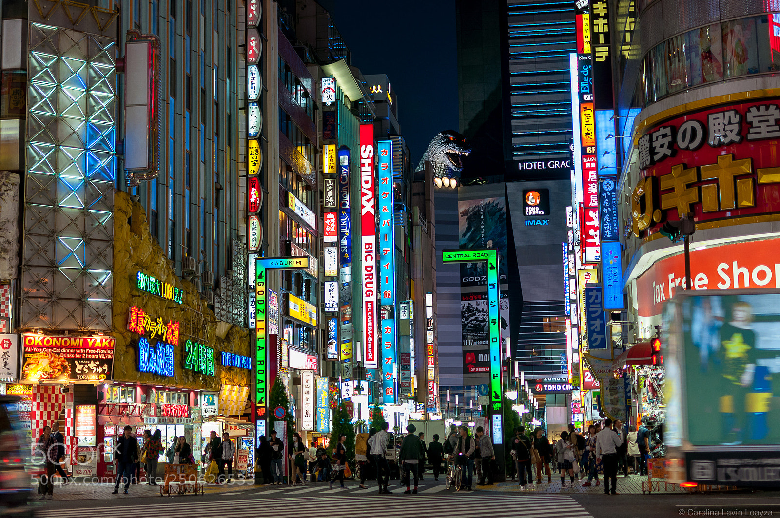 Nikon D90 sample photo. Luces de kabuki-cho photography