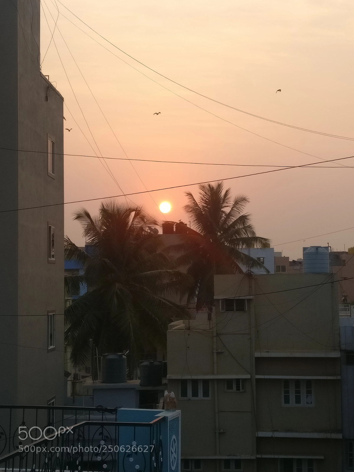 OnePlus A3003 sample photo. Untitled photography
