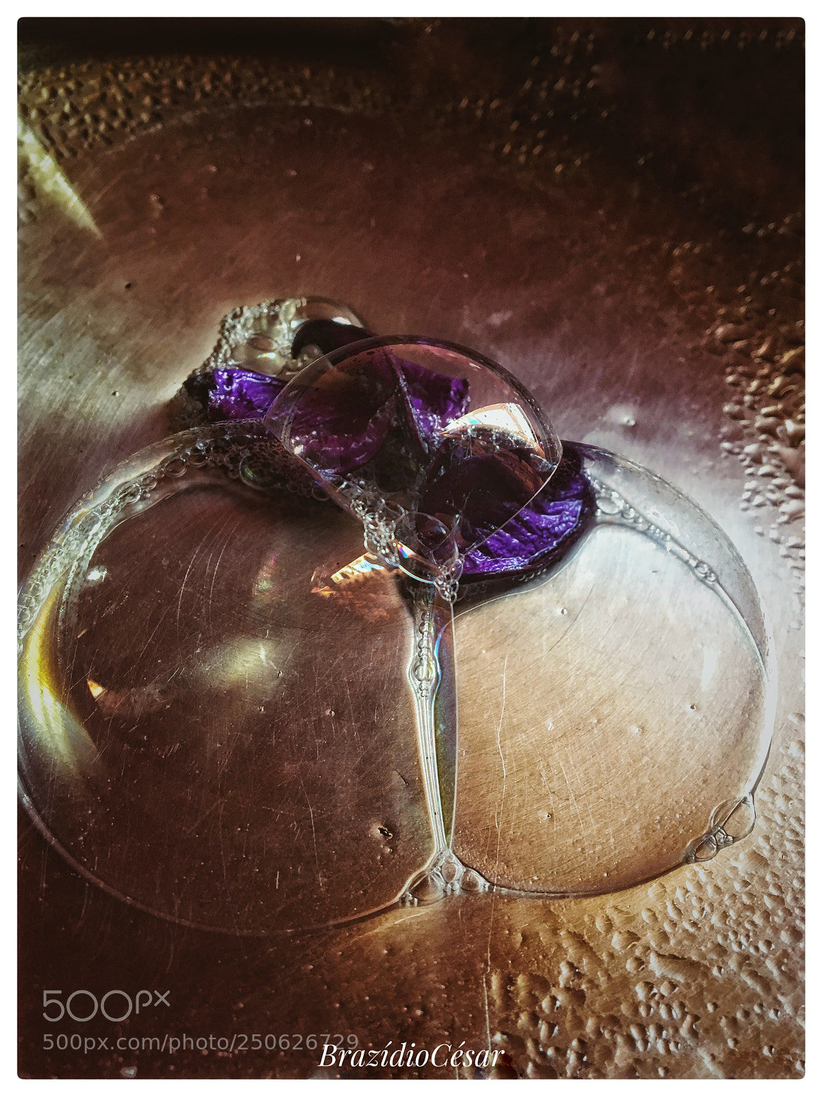 Apple iPhone 6s sample photo. Untitled photography