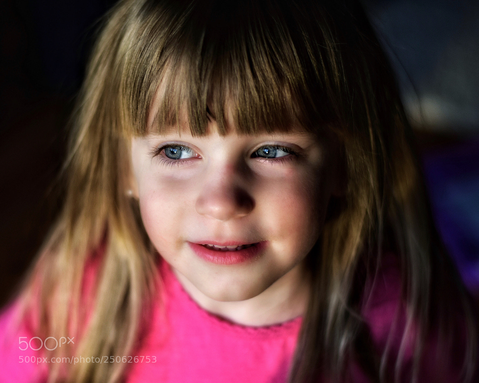 Nikon D5600 sample photo. Untitled photography