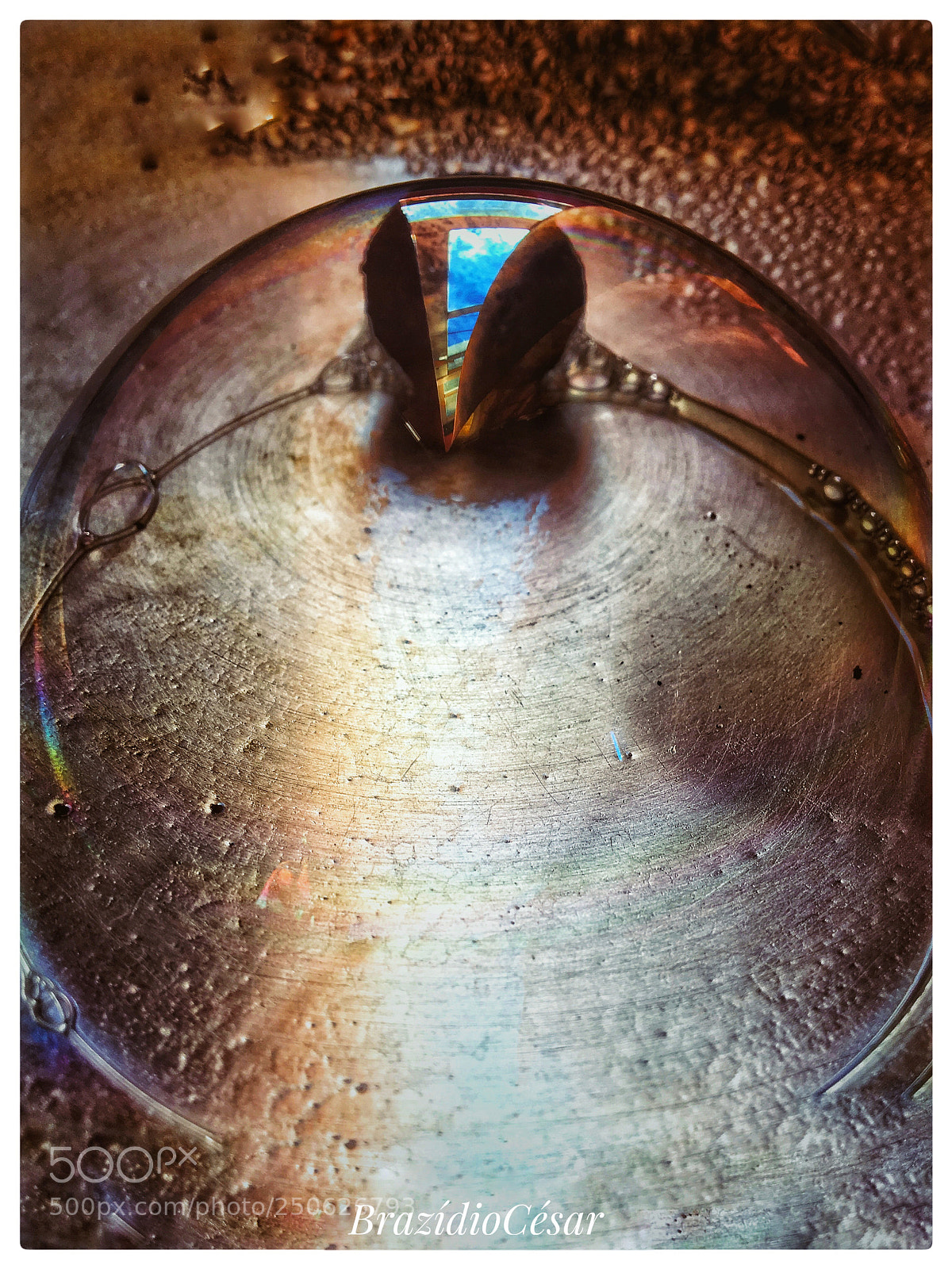 Apple iPhone 6s sample photo. Untitled photography