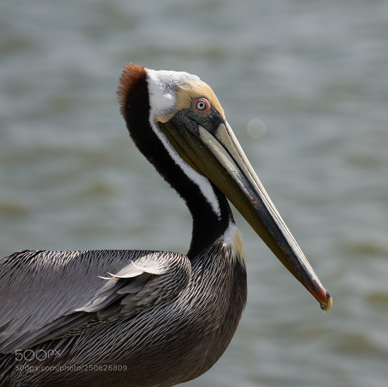 Sony a7R III sample photo. I have time photography