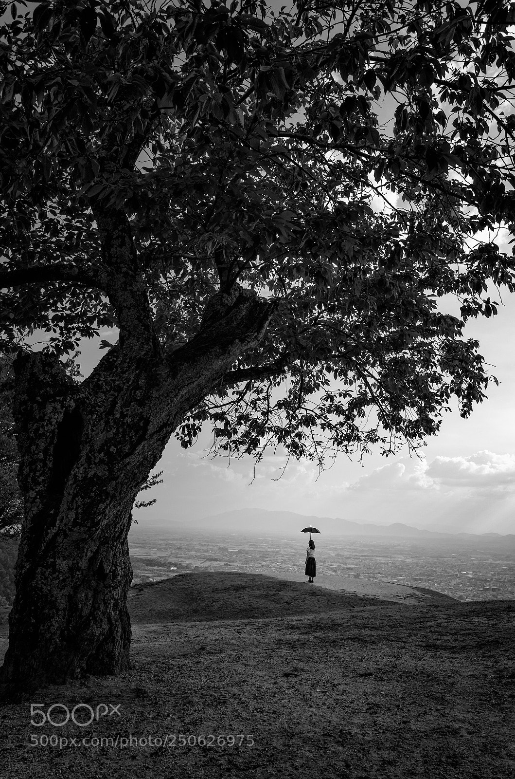 Nikon D7000 sample photo. On the hill photography