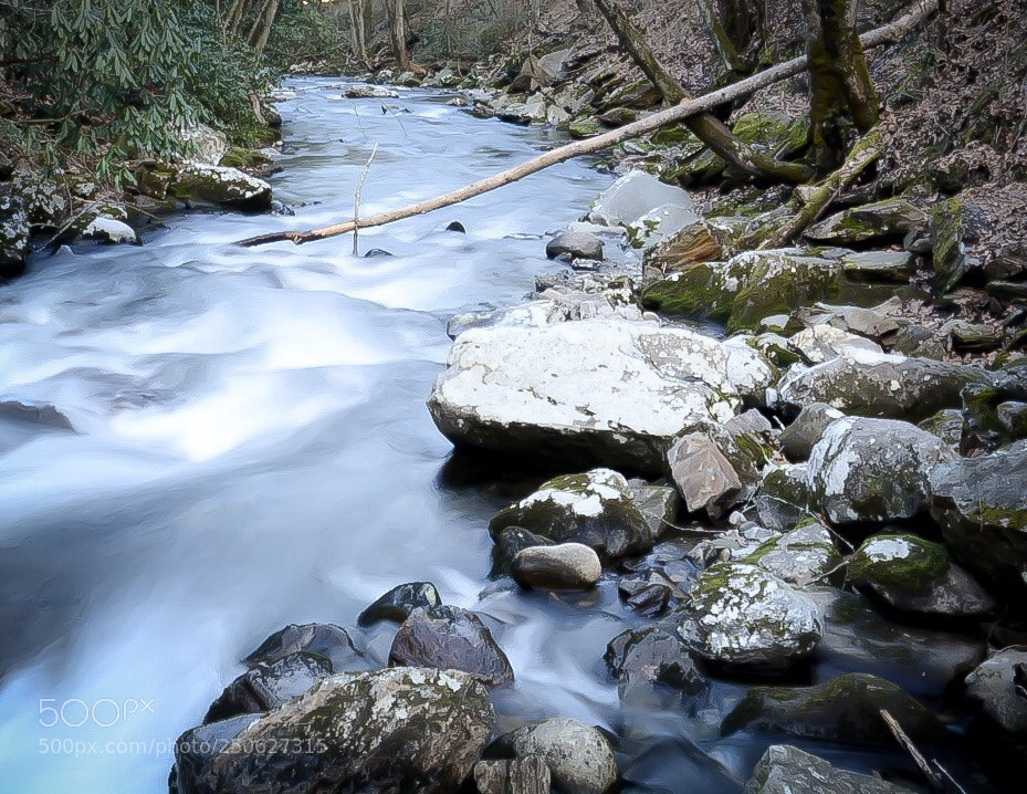 Nikon D7100 sample photo. Untitled photography