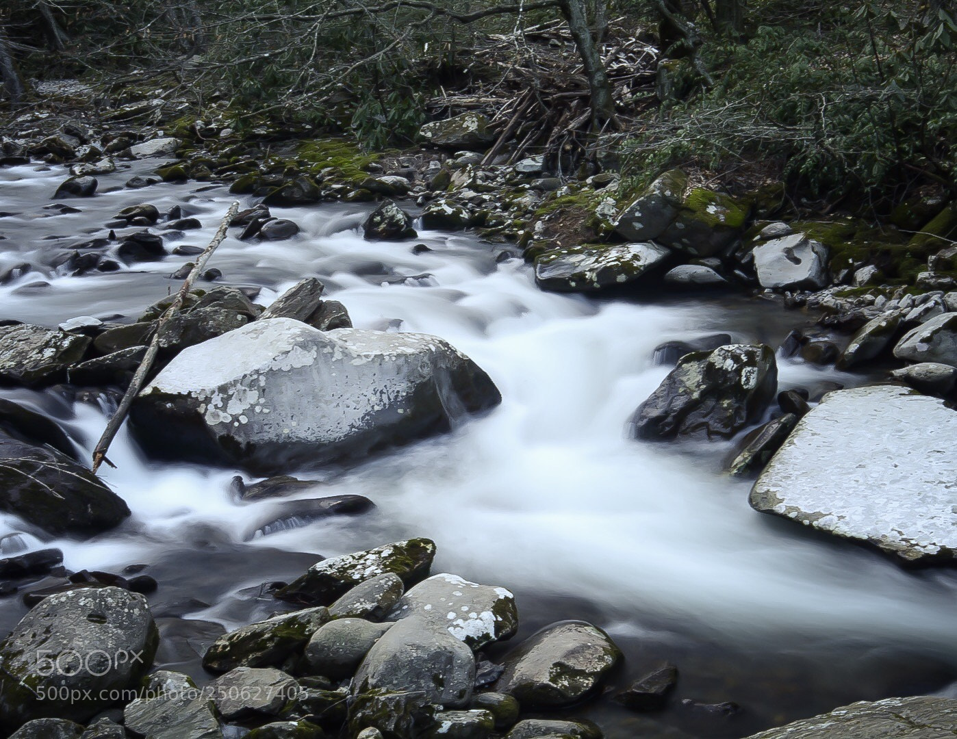 Nikon D7100 sample photo. Untitled photography