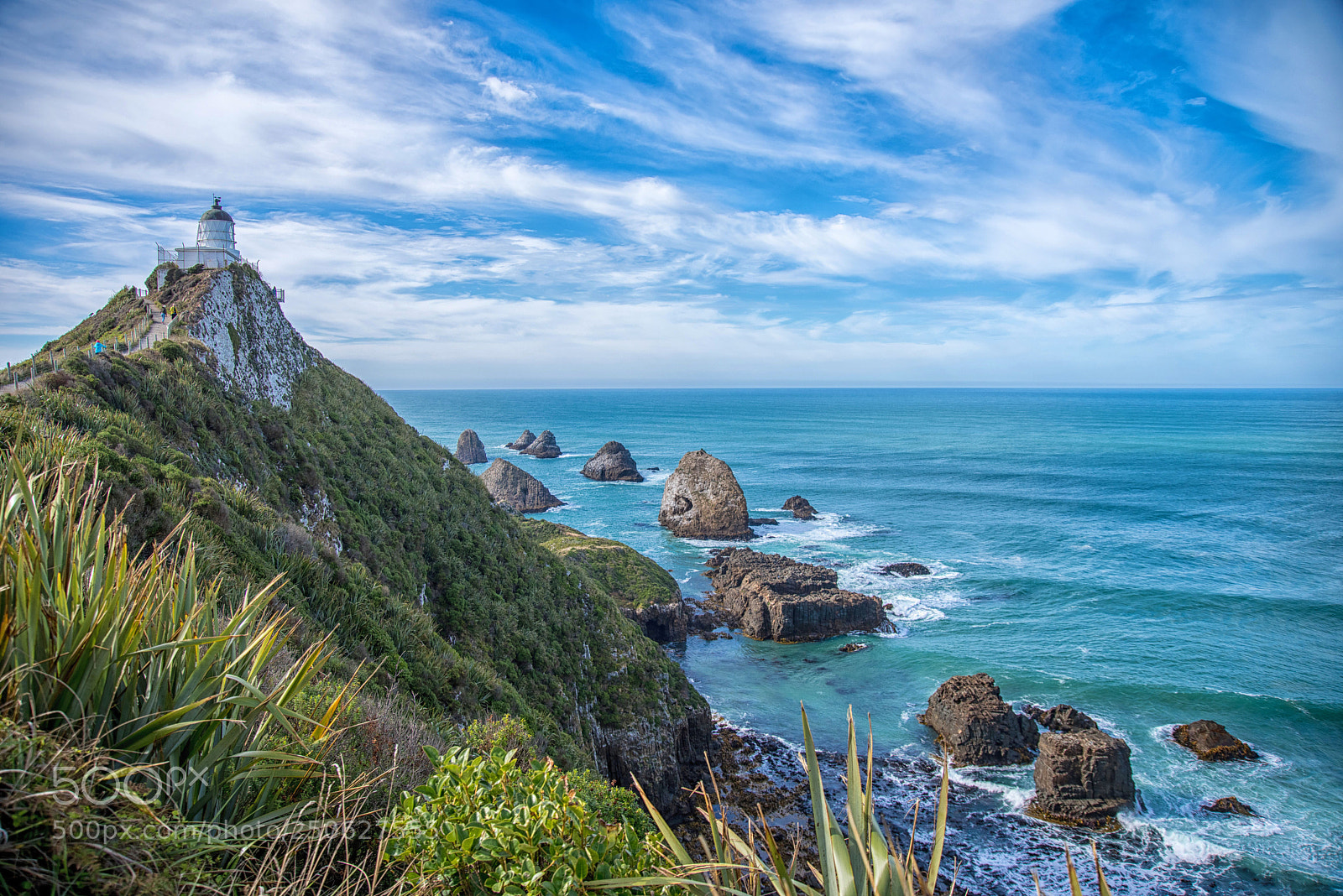 Nikon D810 sample photo. Nugget point lighthouse photography