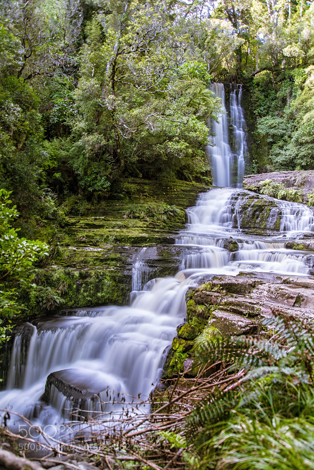 Nikon D810 sample photo. Mclean falls, nz photography
