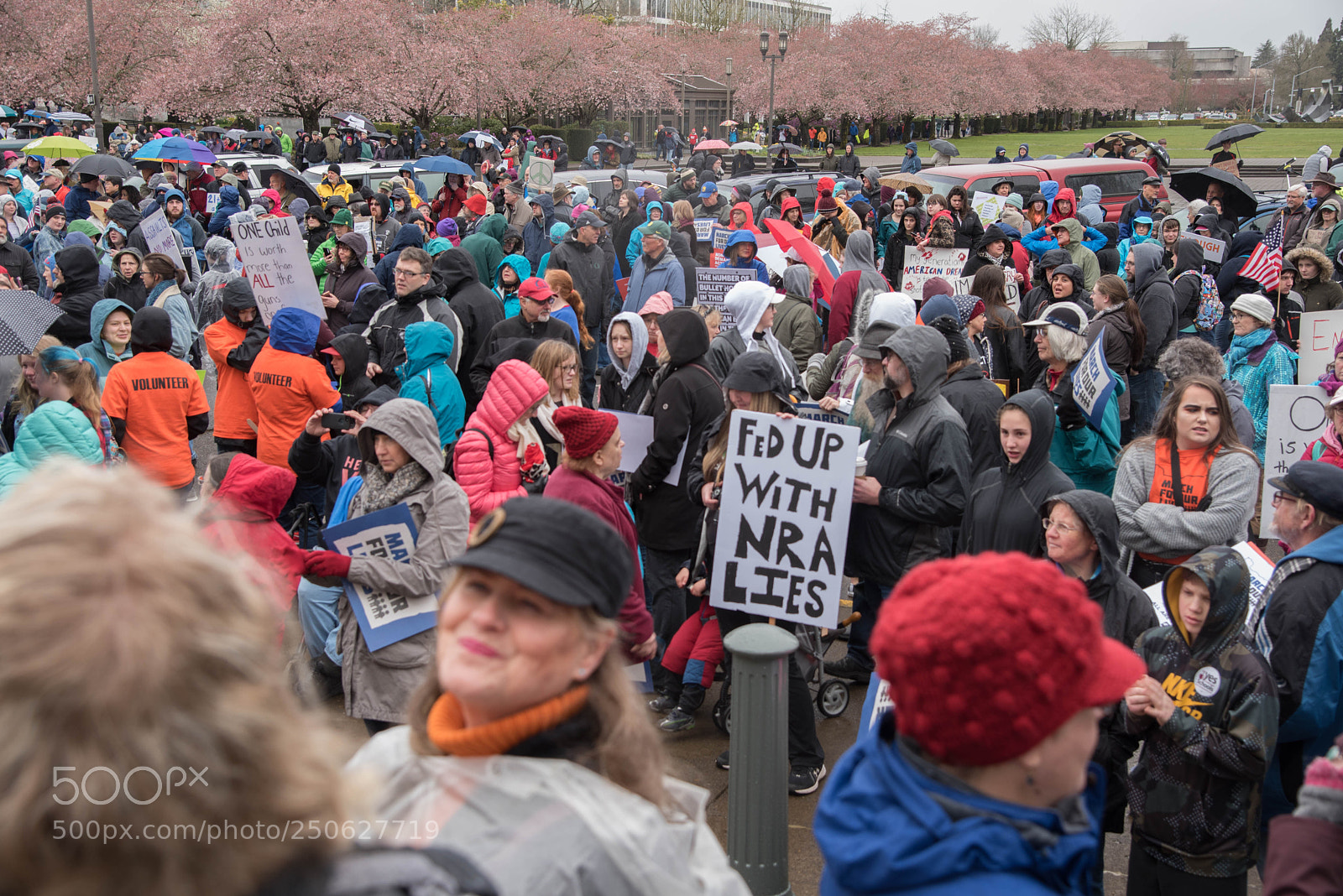 Nikon D750 sample photo. March for our lives photography