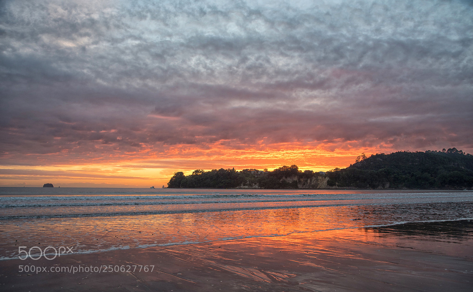 Nikon D810 sample photo. Nelson sunrise photography