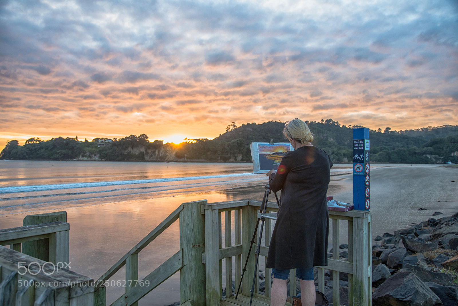 Nikon D810 sample photo. Painting the sunrise photography