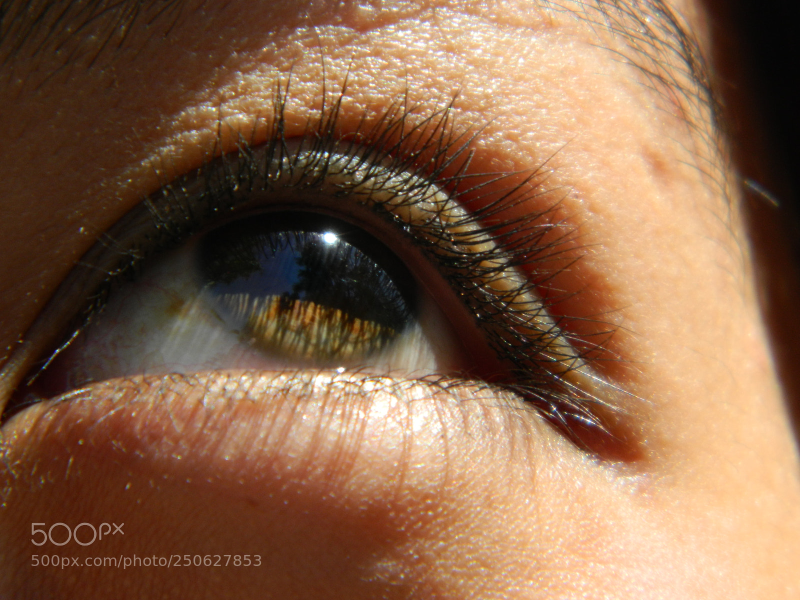 Nikon Coolpix L120 sample photo. Arriba photography