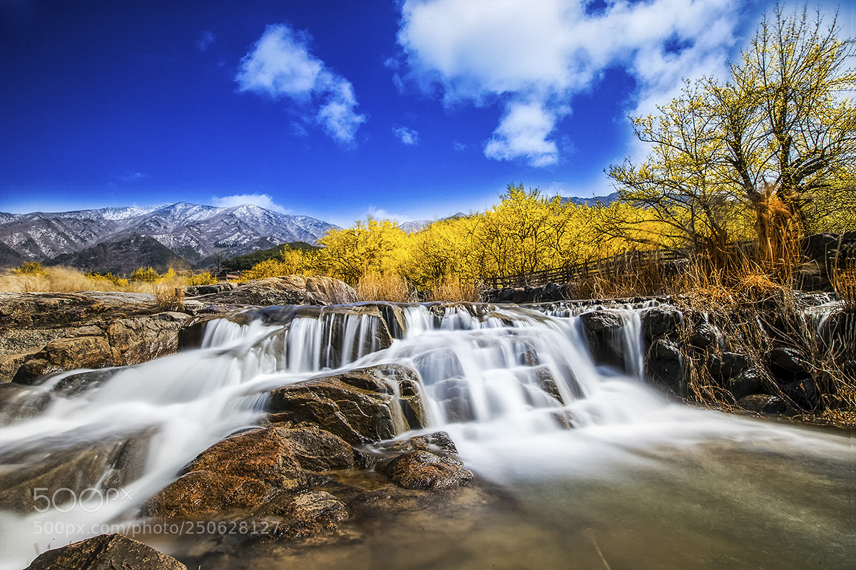 Canon EOS-1D X sample photo. Shangdong spring an3o7246-2.jpg photography