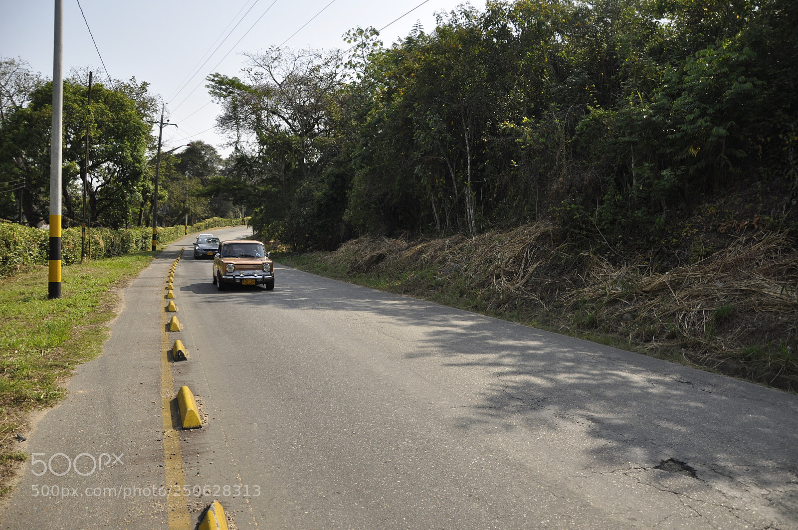 Nikon D90 sample photo. Untitled photography