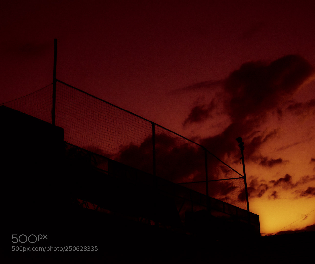 Nikon D5600 sample photo. Apocalypsis. photography