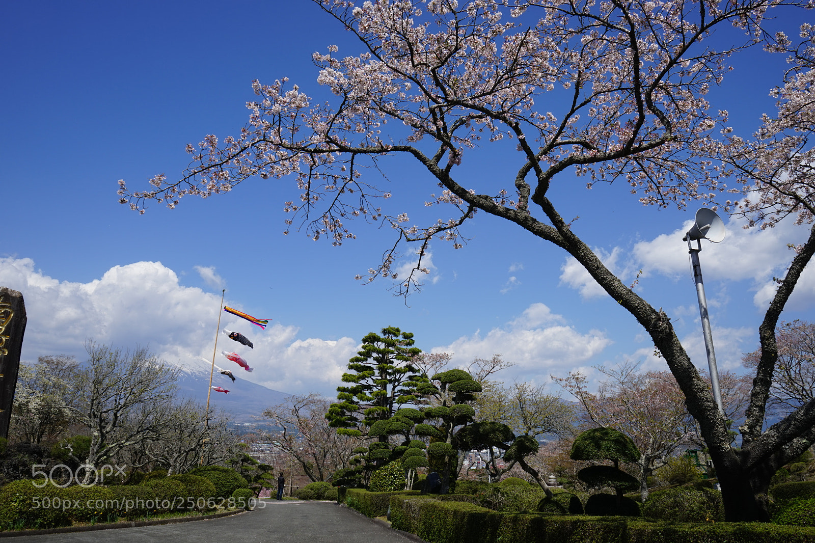 Sony a7 sample photo. 风景 photography