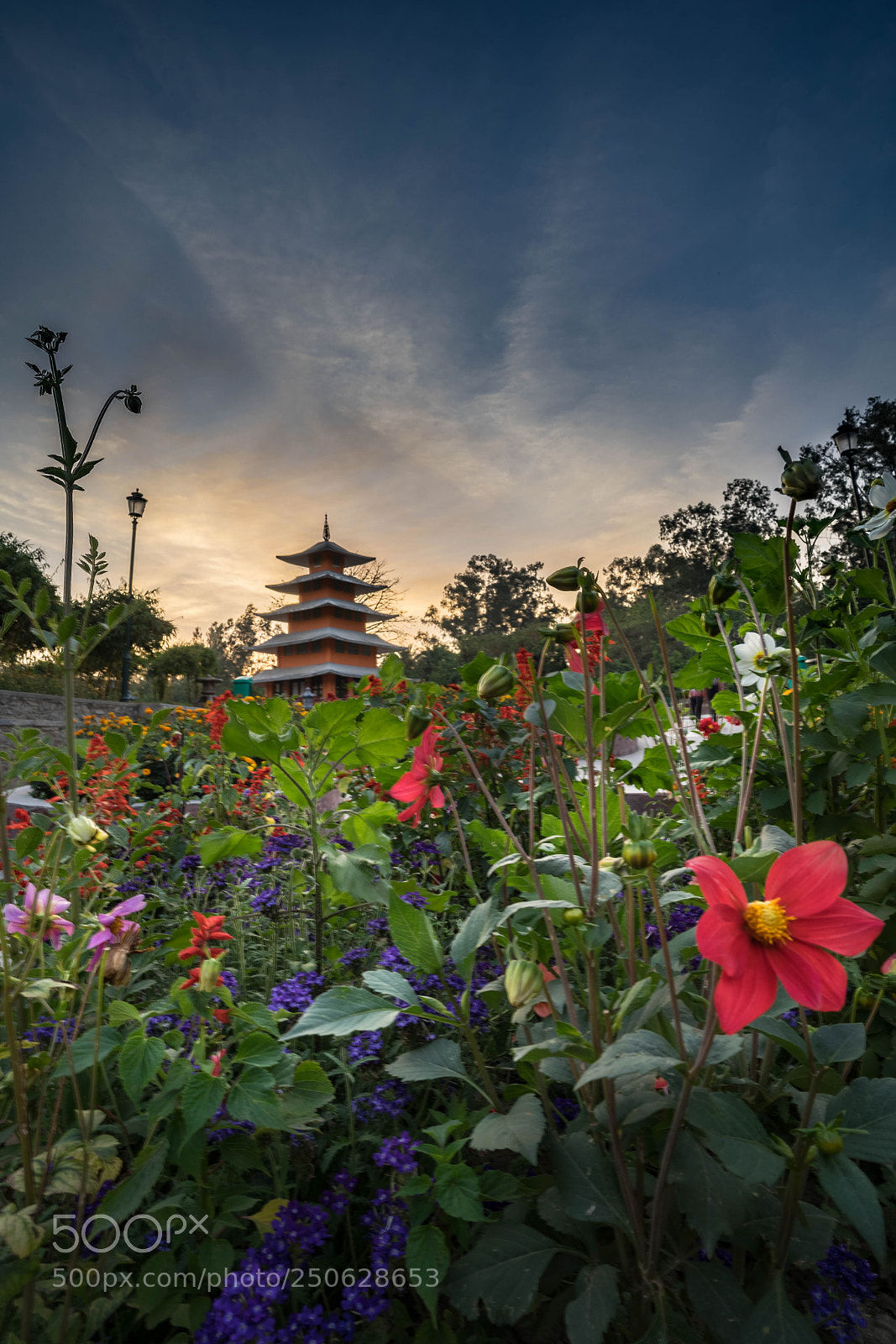 Sony a7 II sample photo. Buddhist temple photography