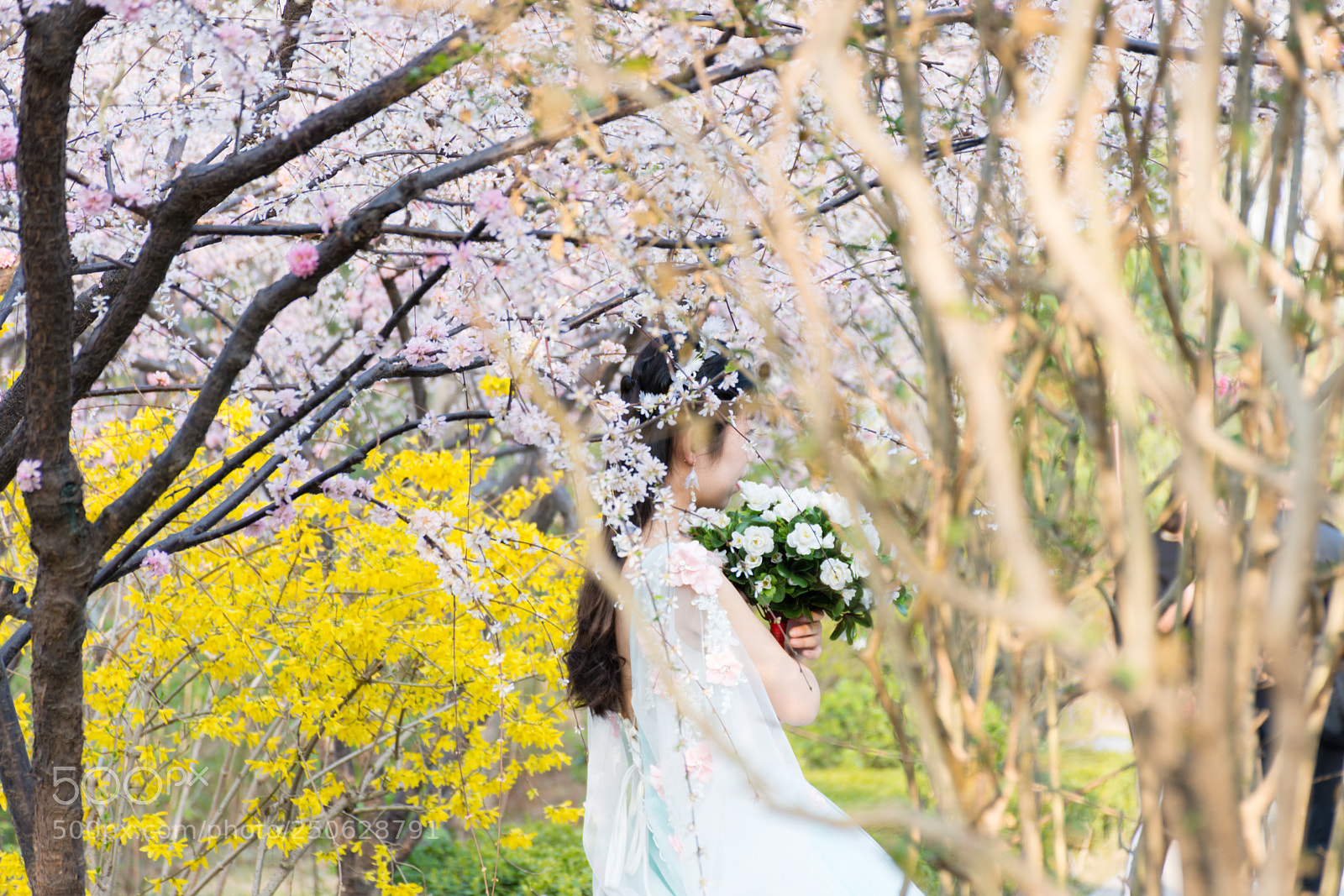 Nikon D7200 sample photo. Dsc photography