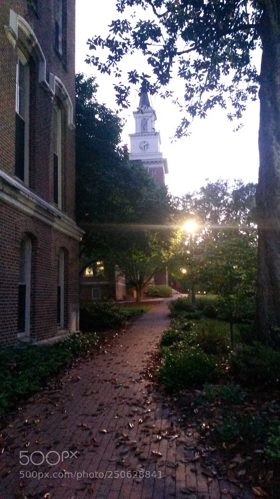 Samsung Galaxy S4 Mini sample photo. Untitled photography