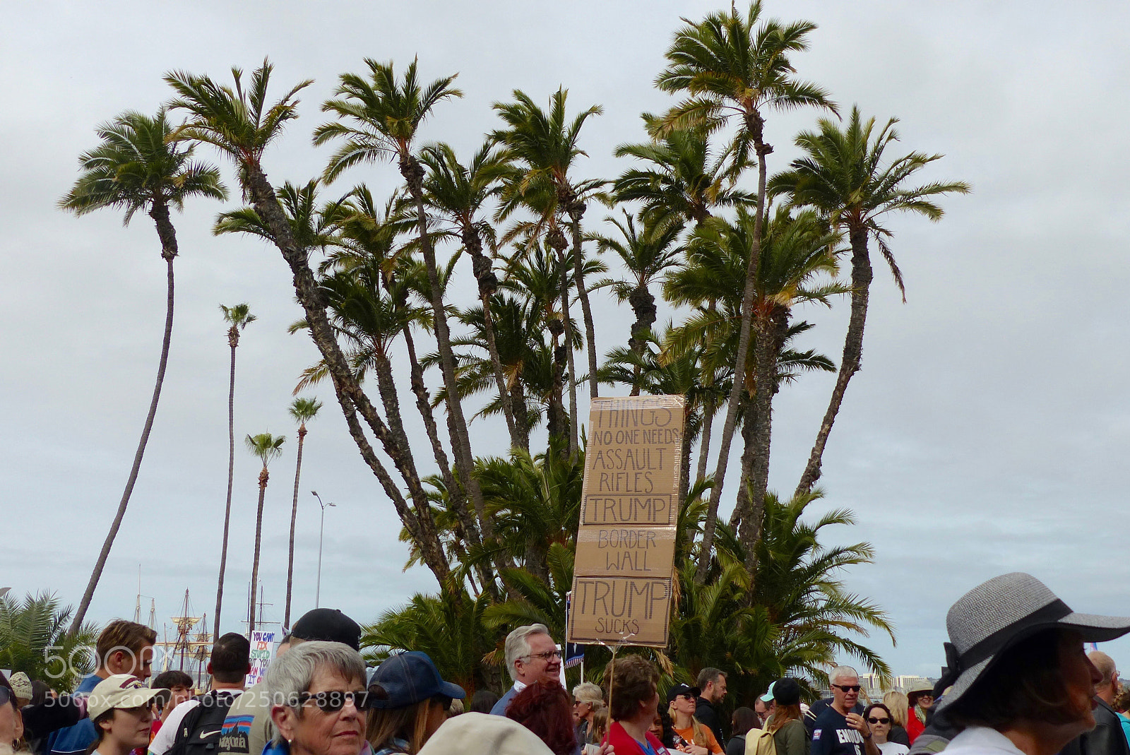 Panasonic Lumix DMC-FZ200 sample photo. Palm trees marching photography