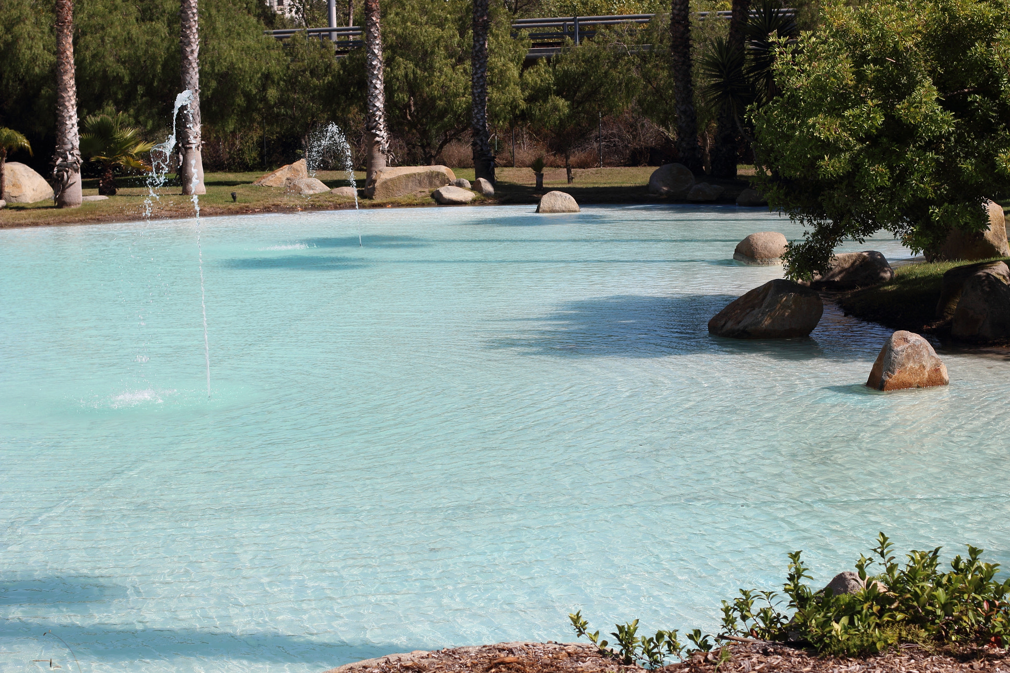 Canon EF 50mm F1.4 USM sample photo. The pond photography