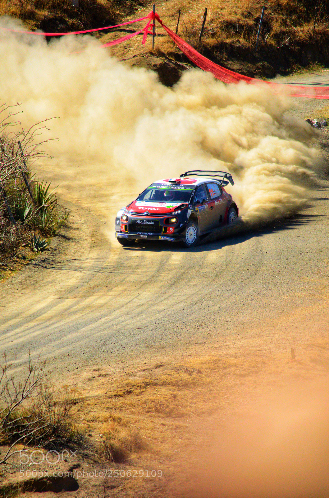 Nikon D5100 sample photo. Cars #wrc #rally photography
