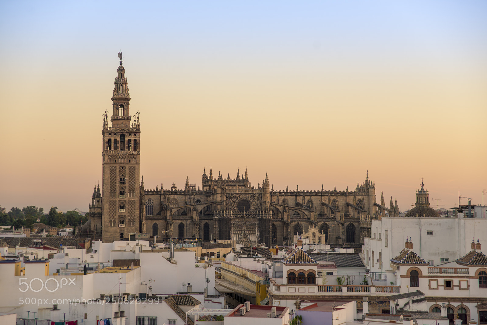 Nikon D600 sample photo. Sevilla photography