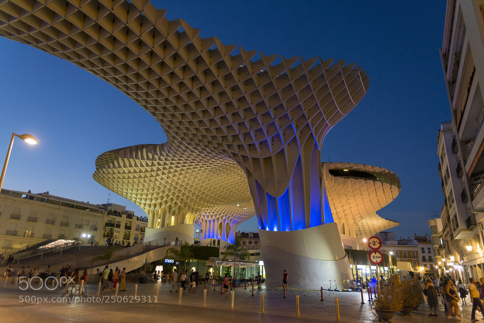 Nikon D600 sample photo. Metropol parasol photography