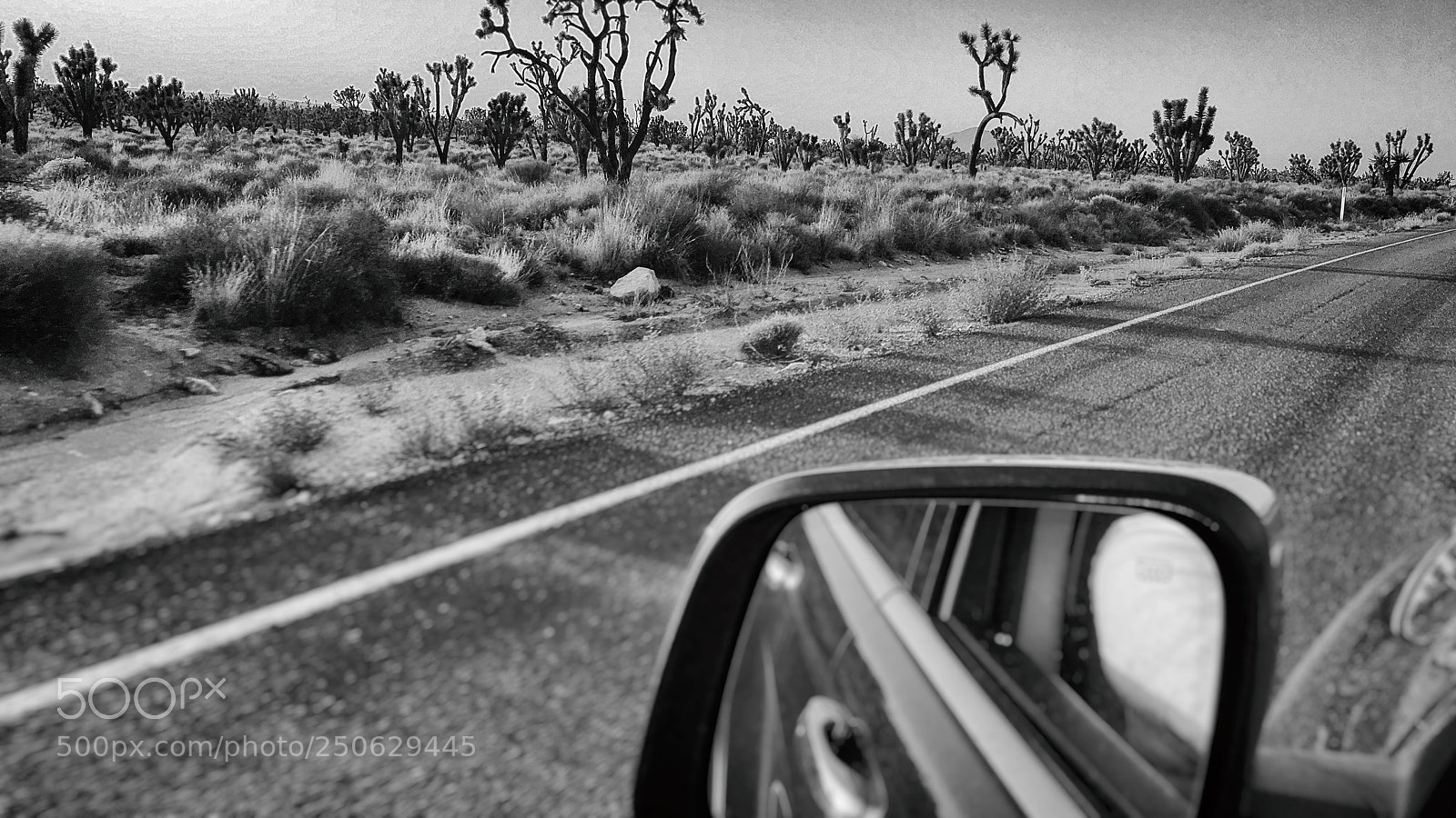 Apple iPhone 6s sample photo. California joshua trees road photography
