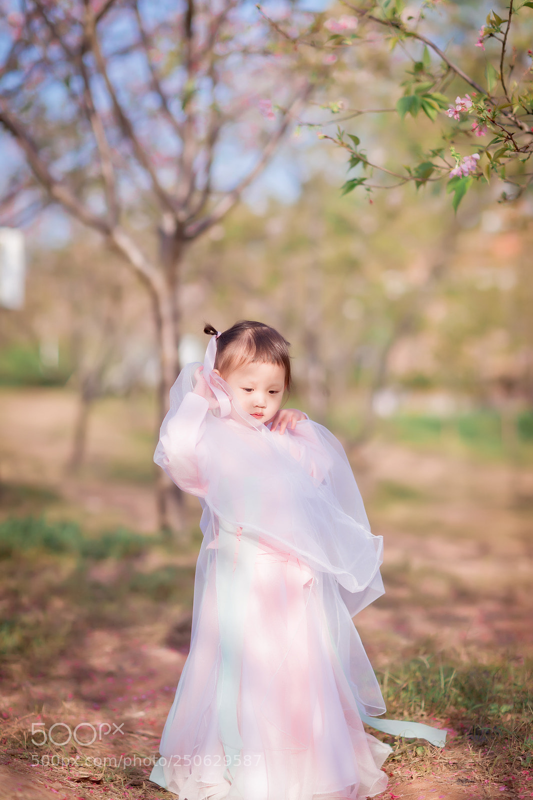 Canon EOS 5D Mark IV sample photo. Untitled photography