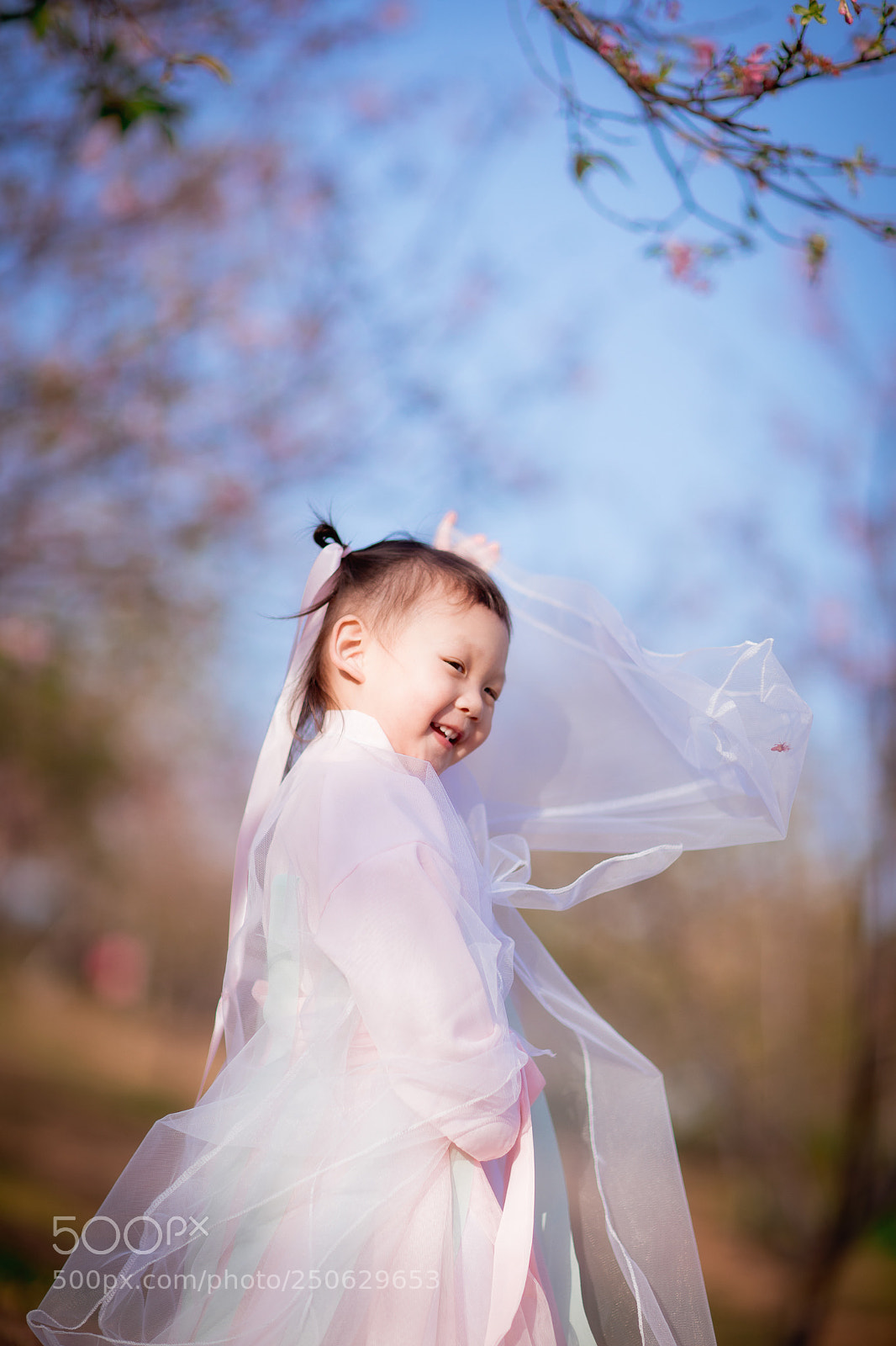 Canon EOS 5D Mark IV sample photo. Untitled photography