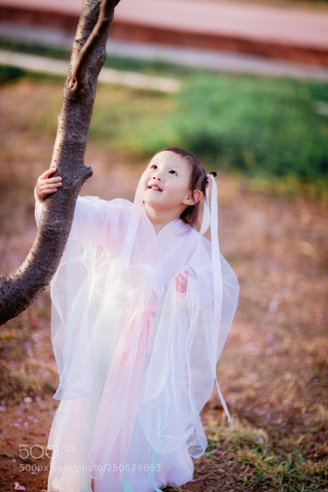 Canon EOS 5D Mark IV sample photo. Untitled photography