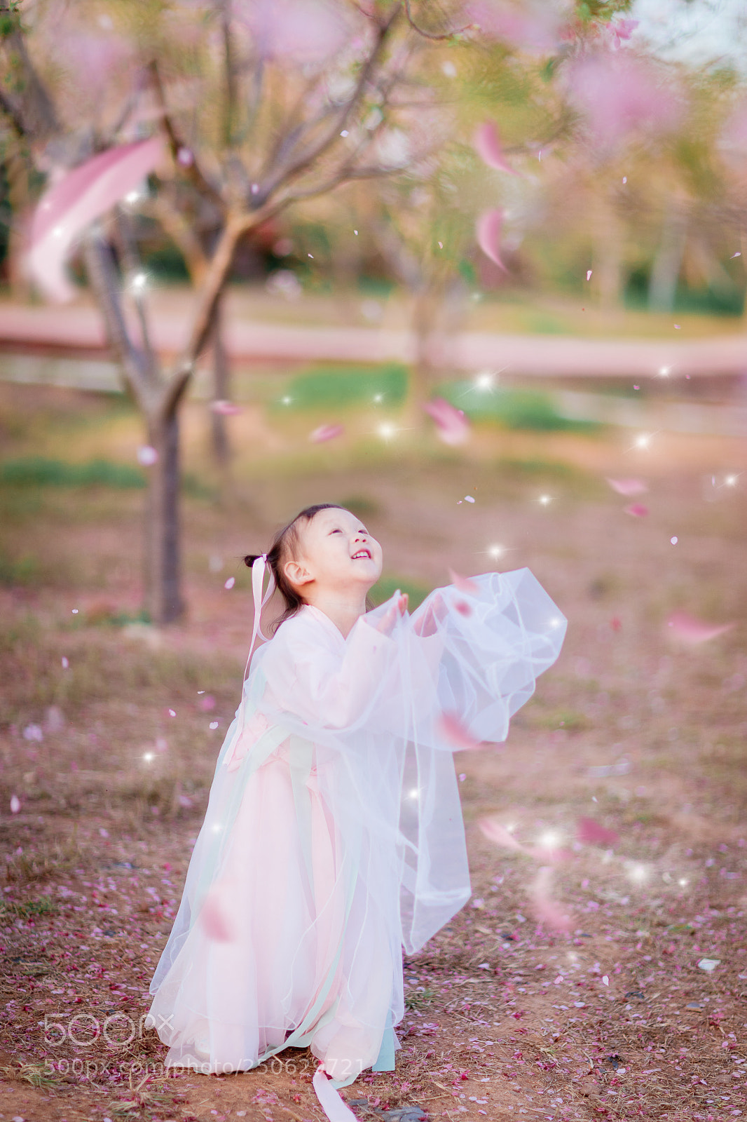 Canon EOS 5D Mark IV sample photo. Untitled photography