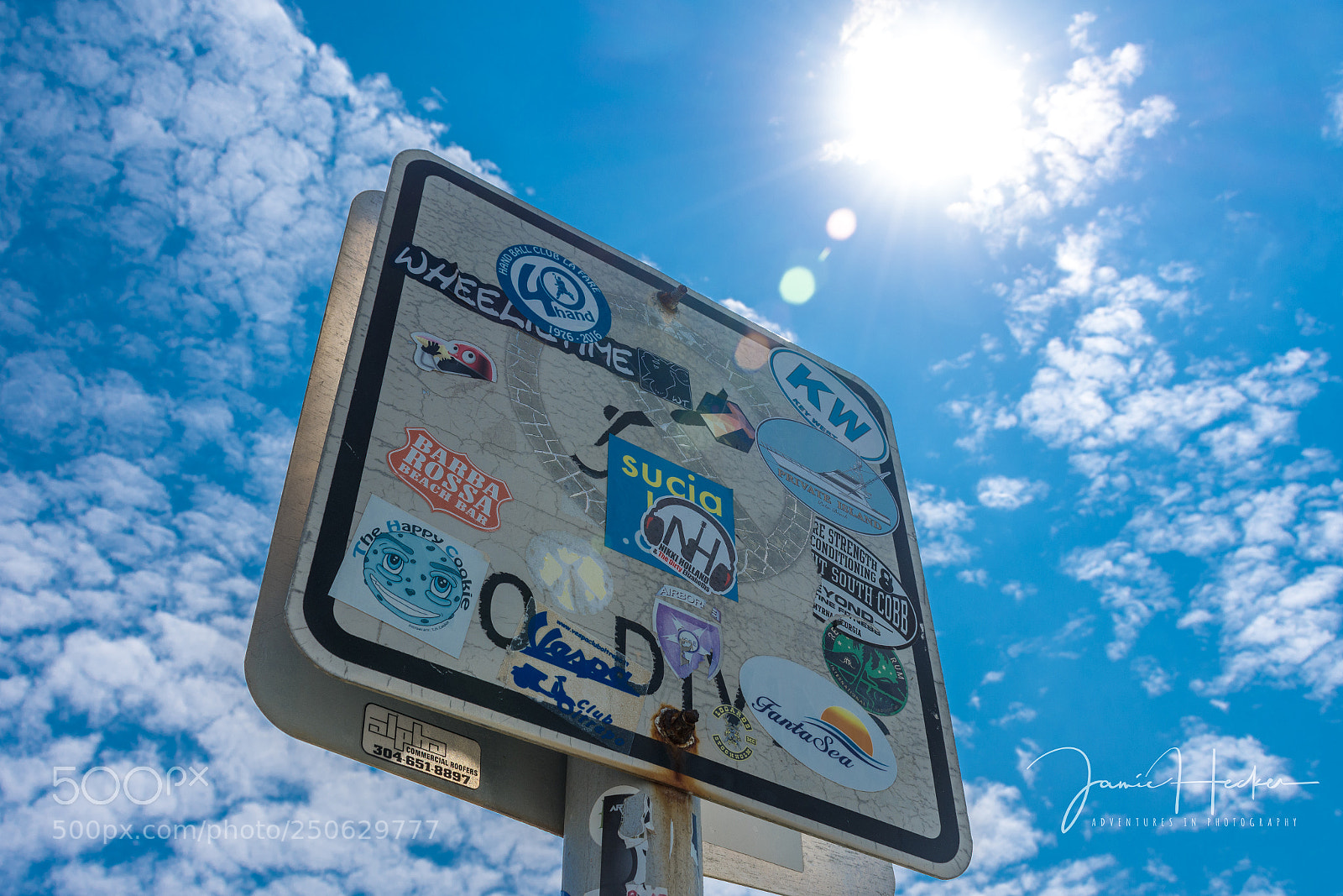 Nikon D7200 sample photo. Follow the sign photography