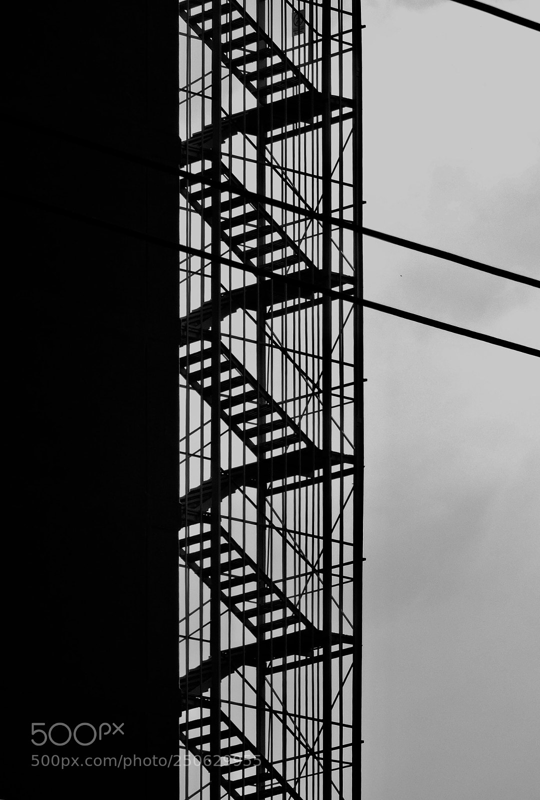 Nikon Coolpix P600 sample photo. Untitled photography