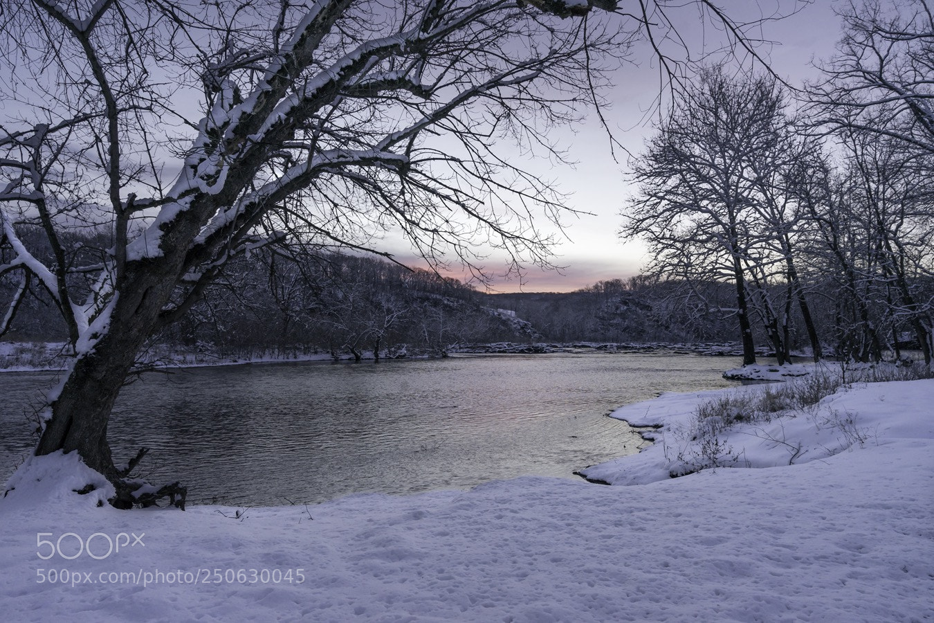 Sony a7 II sample photo. Snowday photography