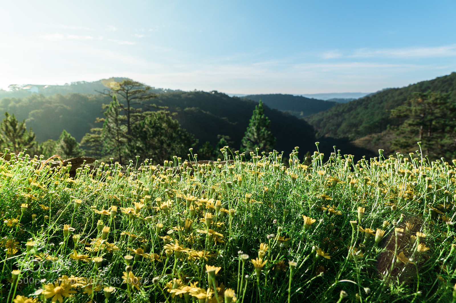 Sony ILCA-77M2 sample photo. A lovely view for photography