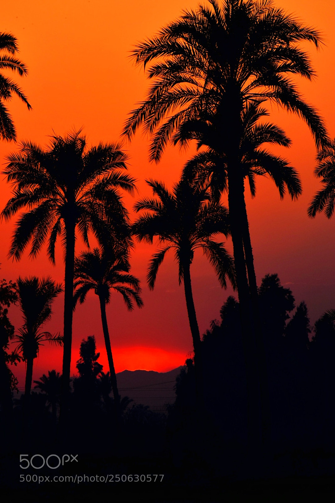 Nikon D5300 sample photo. Sunset......... photography