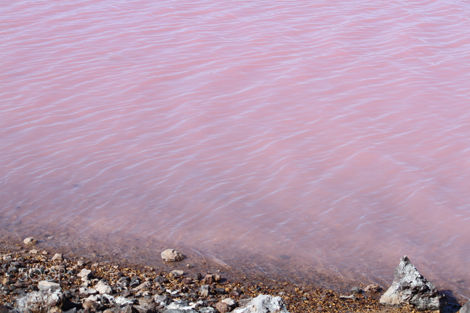 Canon EF-S 55-250mm F4-5.6 IS sample photo. Pink lake photography