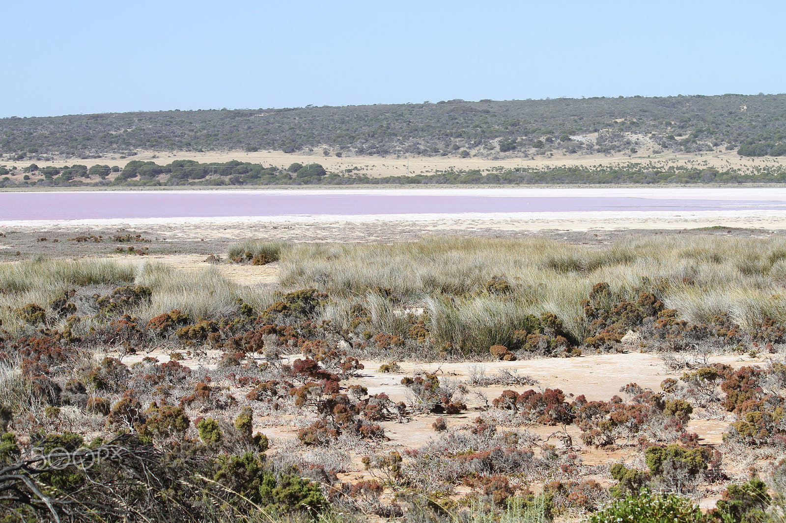 Canon EF-S 55-250mm F4-5.6 IS sample photo. Pink lake photography