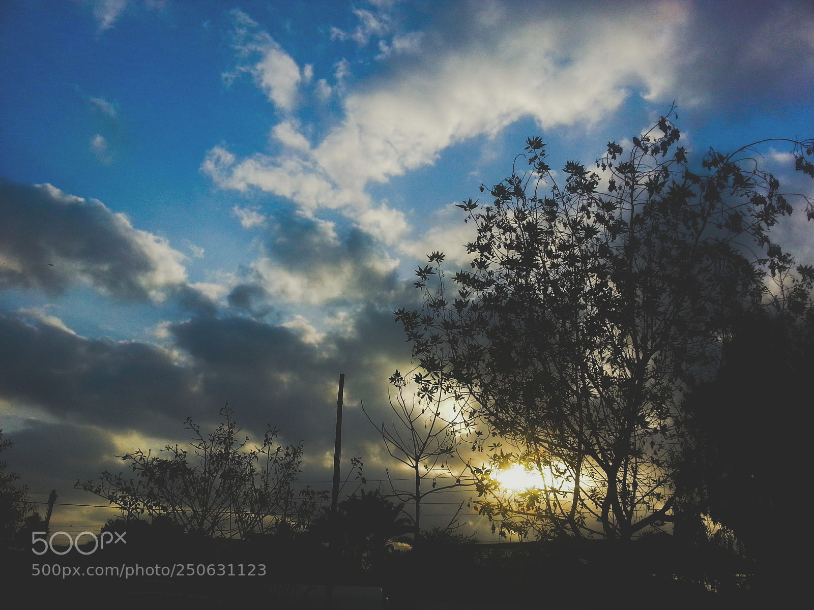 Samsung Galaxy S3 sample photo. Untitled photography