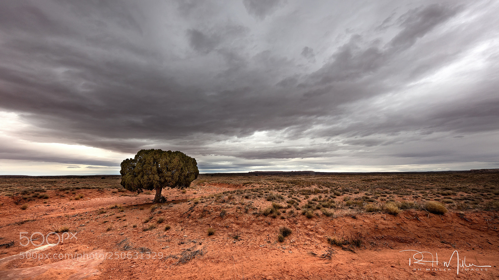Canon EOS 5DS R sample photo. In the desert of photography