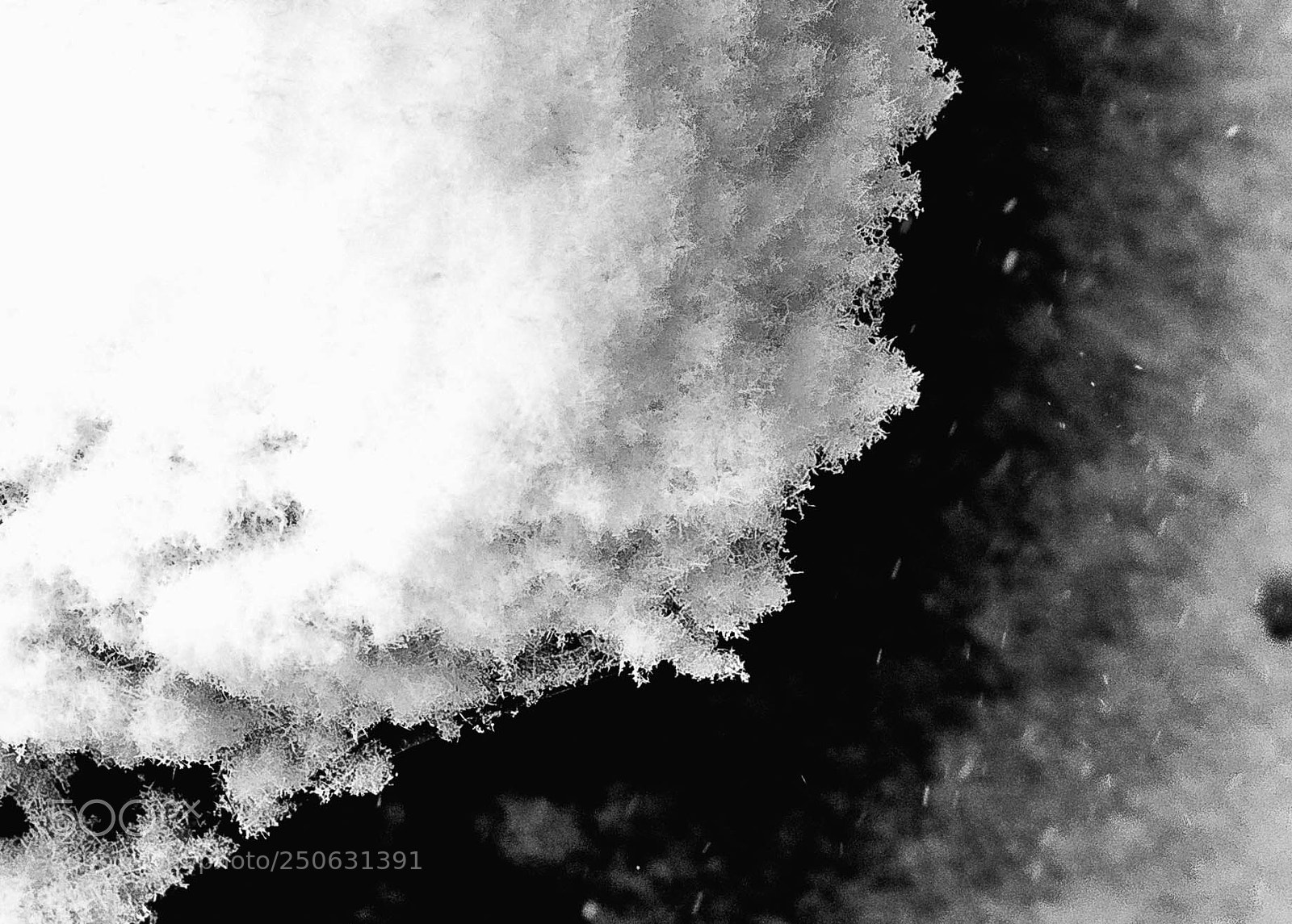 Canon EOS-1D Mark IV sample photo. Flakes photography
