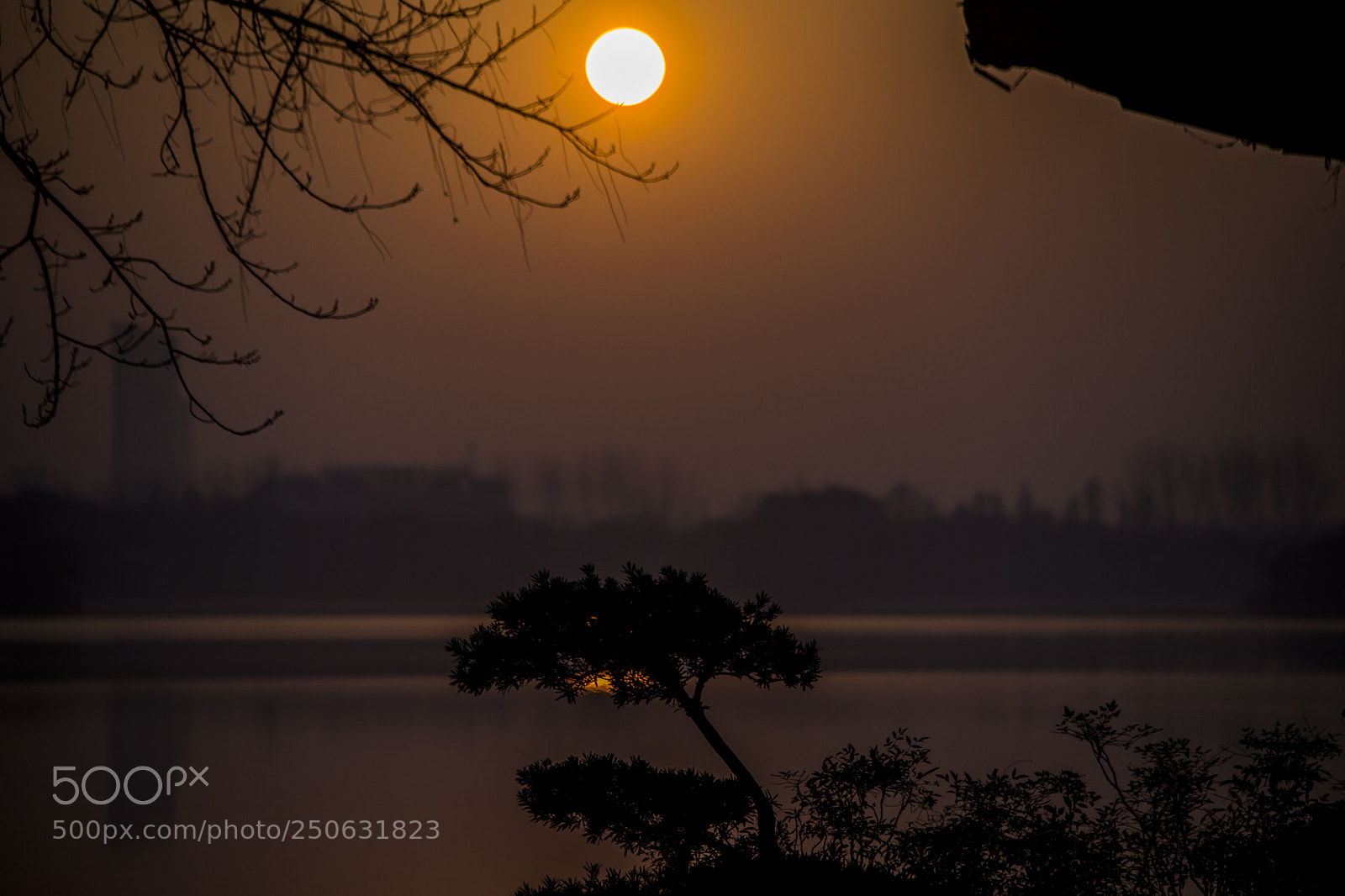 Canon EOS 6D Mark II sample photo. The sun is up photography