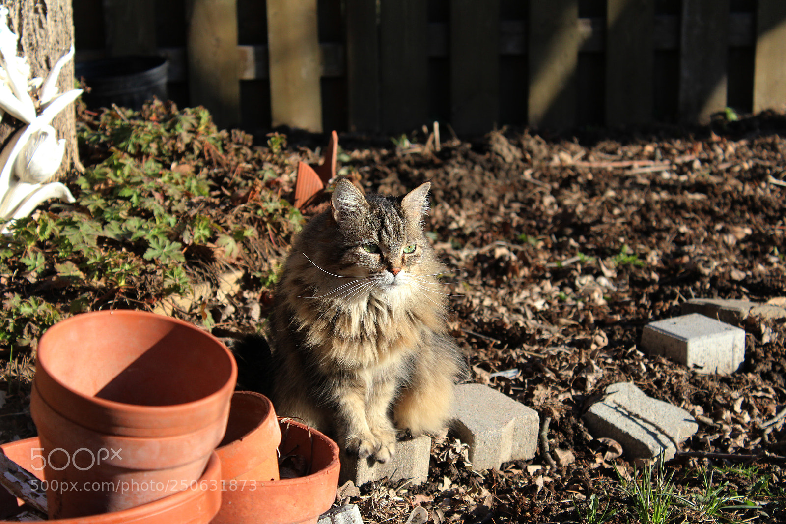 Canon EOS 1200D (EOS Rebel T5 / EOS Kiss X70 / EOS Hi) sample photo. Tiny hunter photography