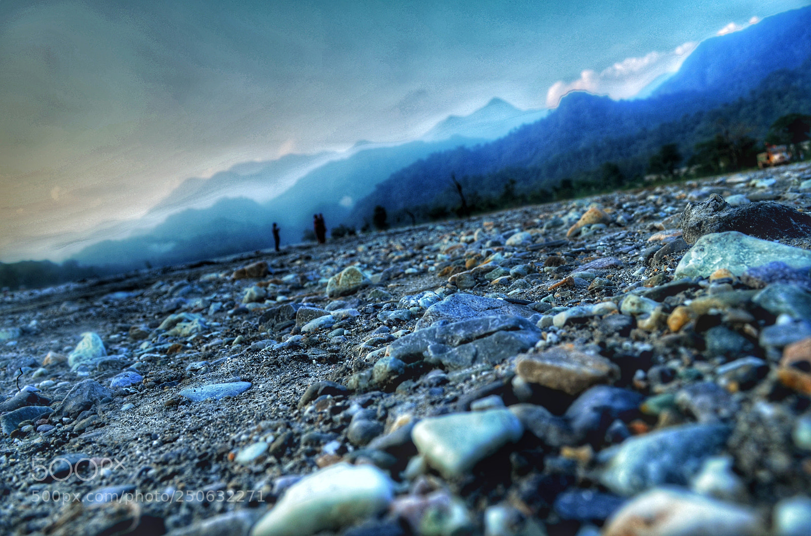 Nikon D5100 sample photo. Untitled photography