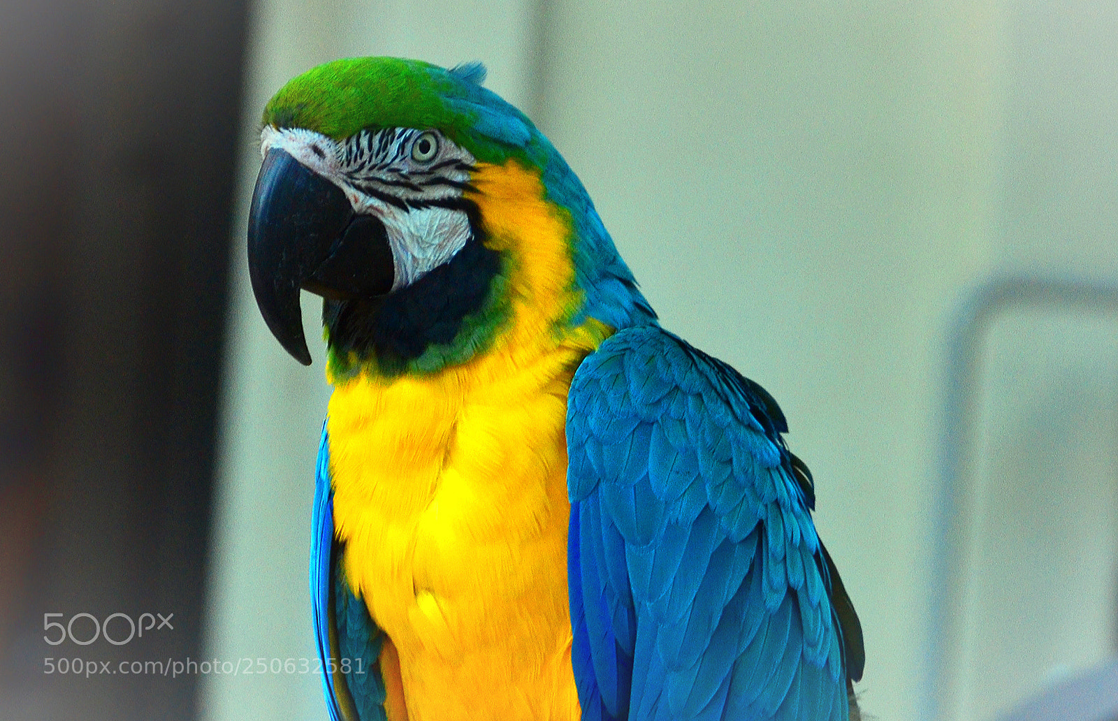 Nikon D7000 sample photo. Hello, there i'm pleased photography