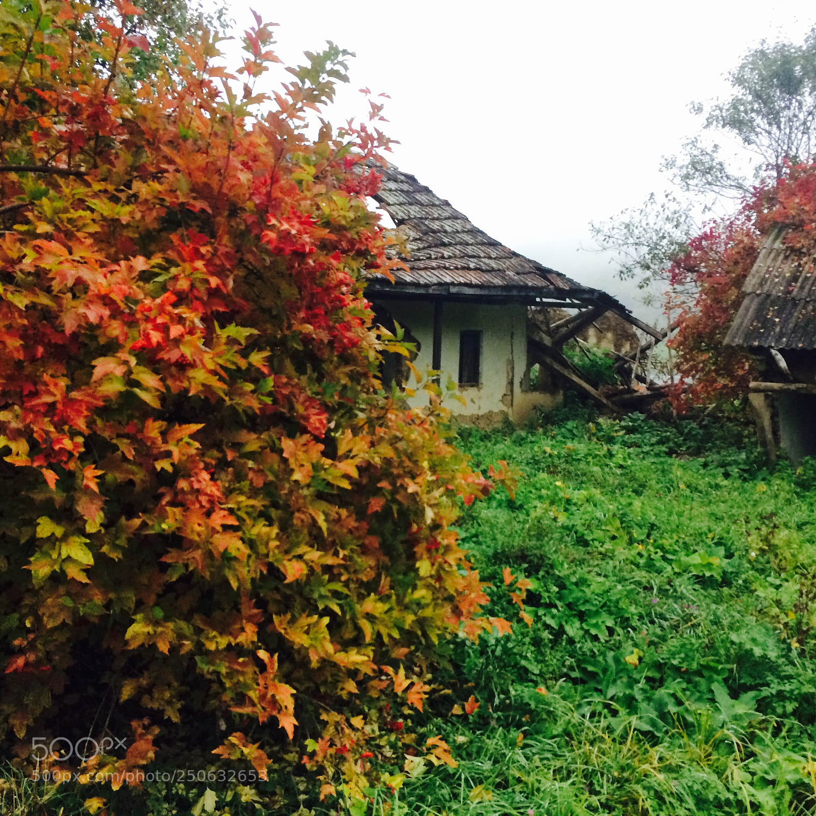 Apple iPhone 5s sample photo. Russia, republic dagestan, almak photography